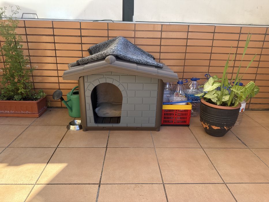 Casota de Cão nova
