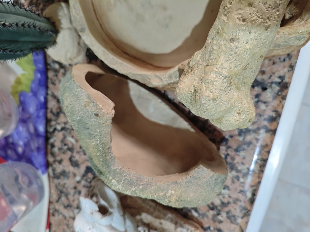 Acessórios para terrários