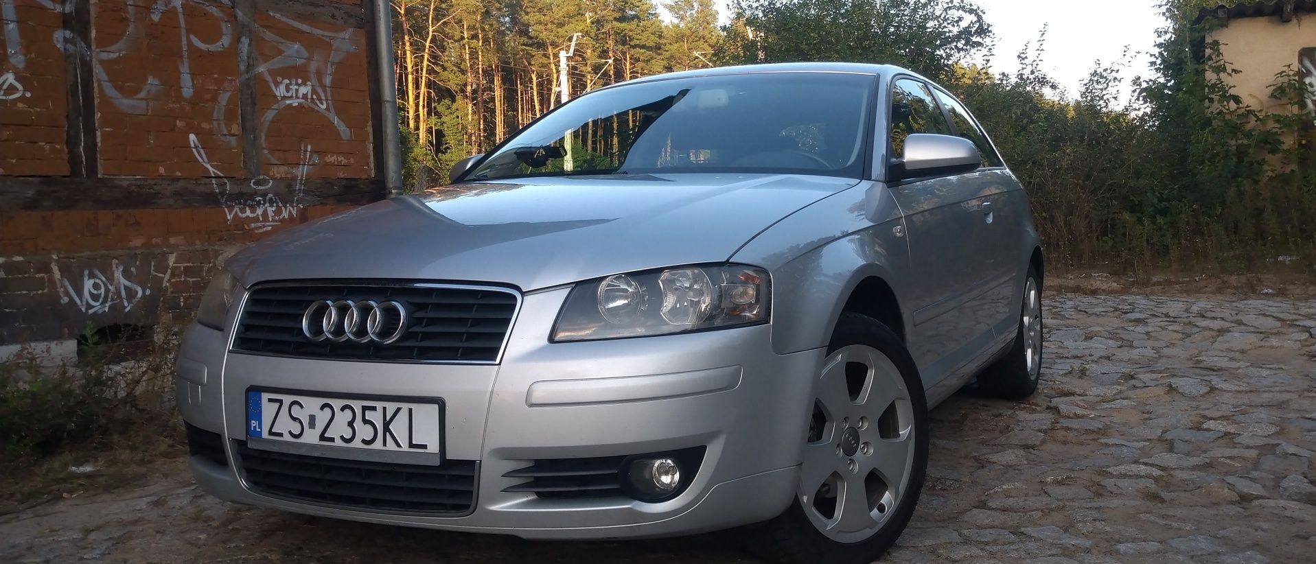 Audi a3 8p 1.6 mpi