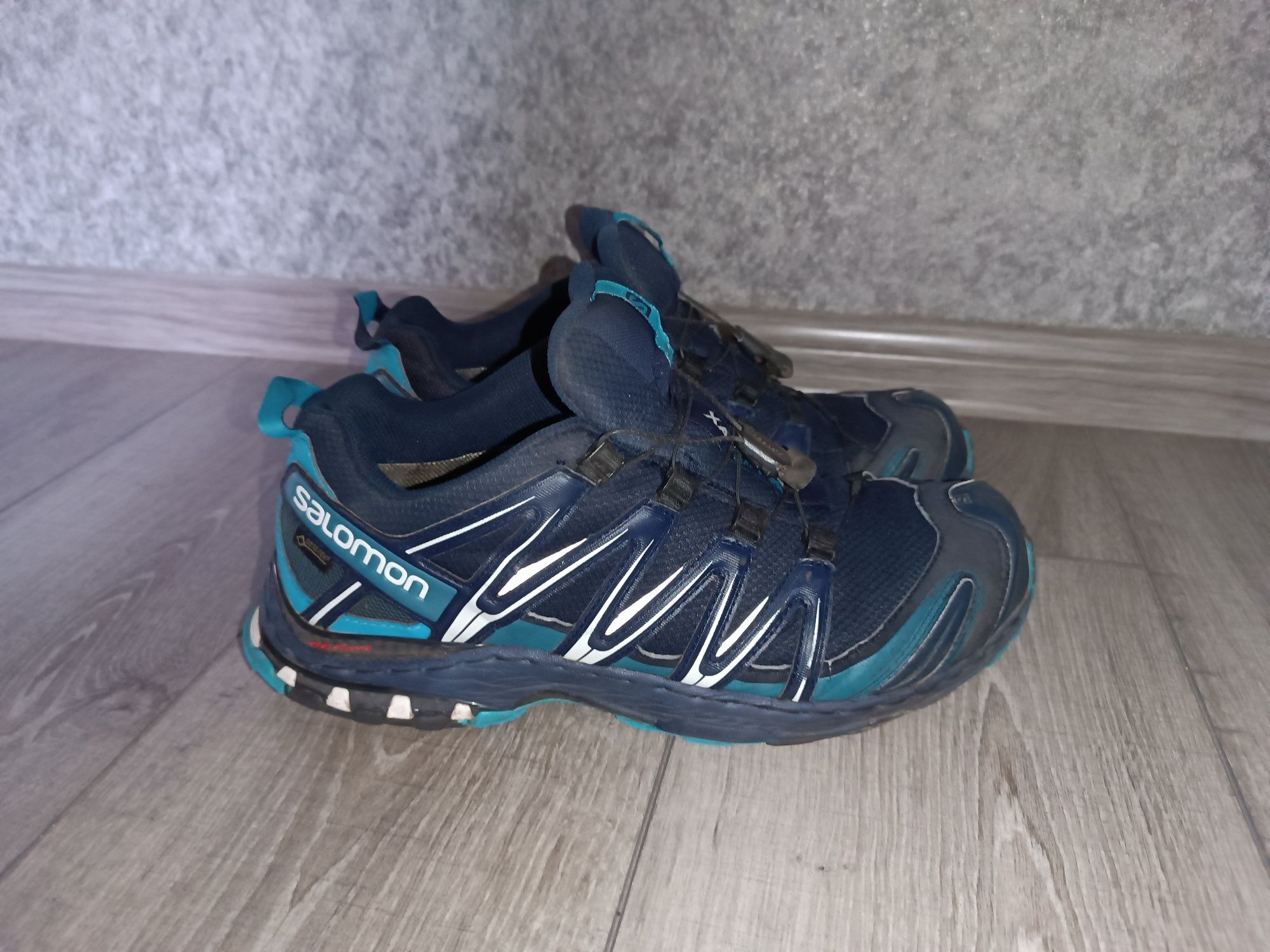 Кросівки Salomon XA pro 3D