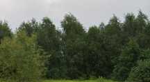 Działka - 33 km od W-wy Centralnej - A2 - 2 km
