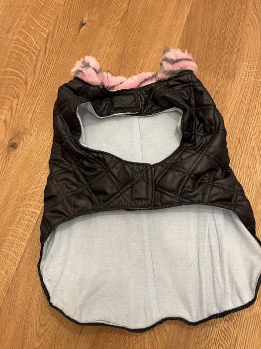 Ubranko dla psa plus gratis