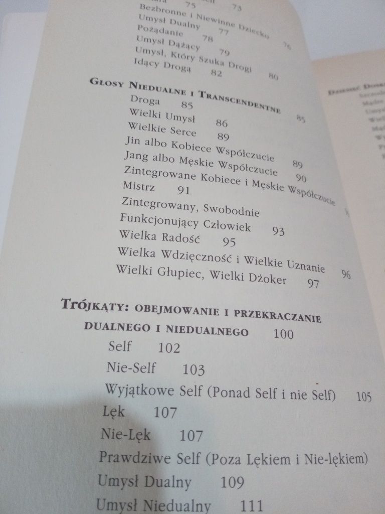 Wielki umysł, wielkie serce - Dennis Genpo Merzel