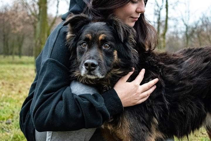 Został porzucony i zdany samemu sobie... Jest wspaniałym psem!