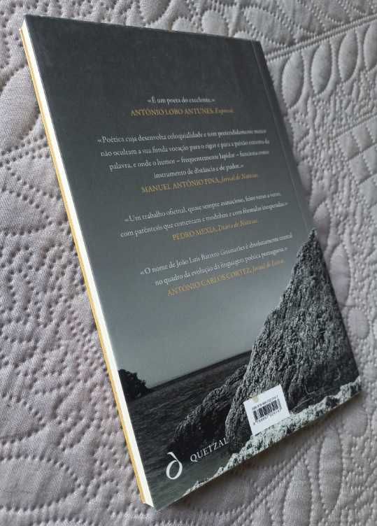Nómada - João Luís Barreto Guimarães