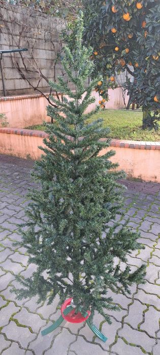 Pinheiro de natal
