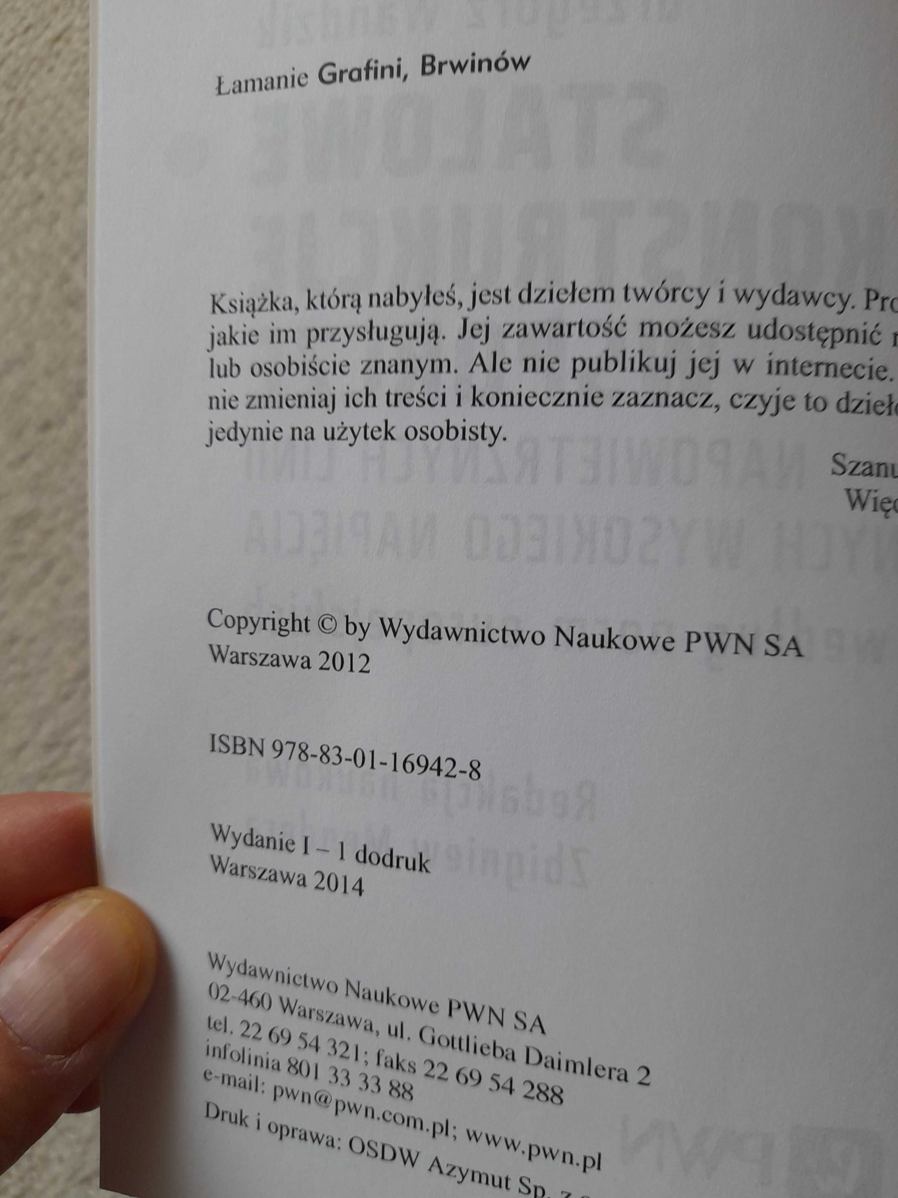 Stalowe konstrukcje wsporcze napowietrznych linii elektroenerg.