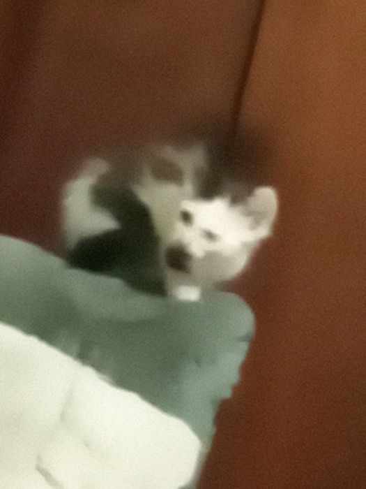 Чудовий хлопчик безкоштовно