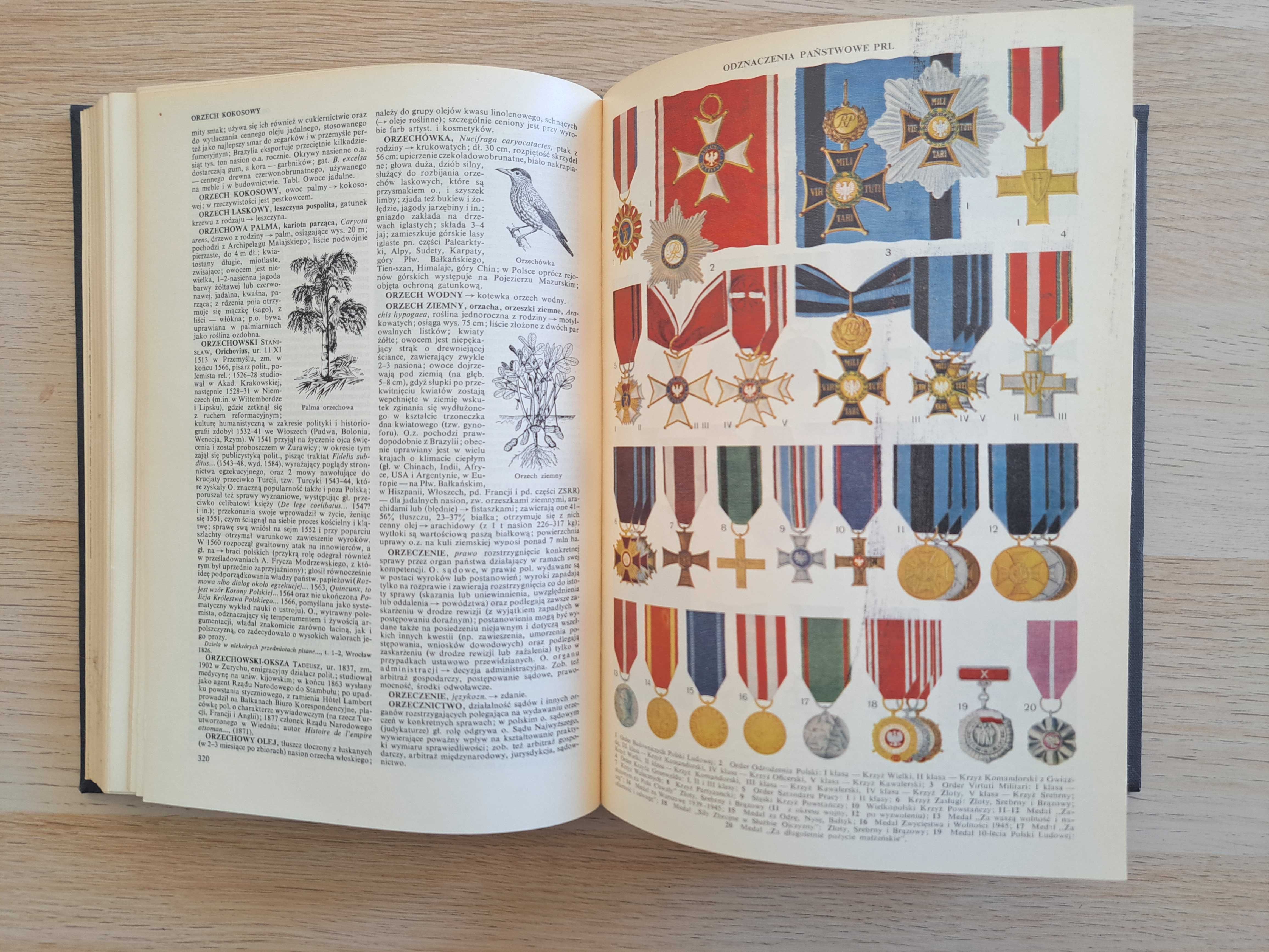 1965 rok. Wielka Encyklopedia Powszechna PWN. Tom 1-13
