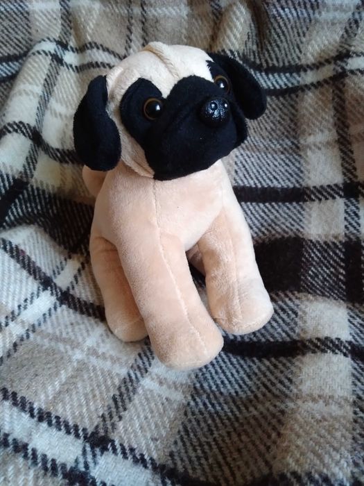 Песик (мопс) у сумочці