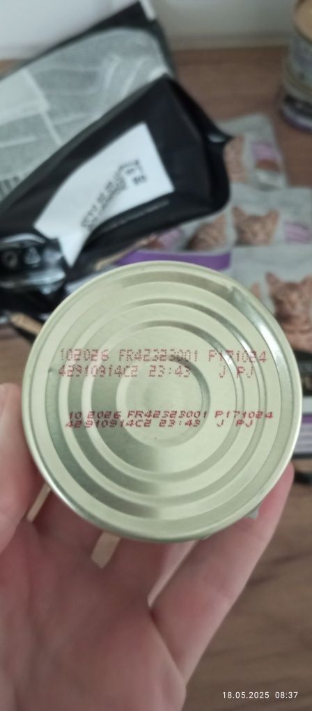 Purina pro plan kitten dla kociąt i młodych kotów