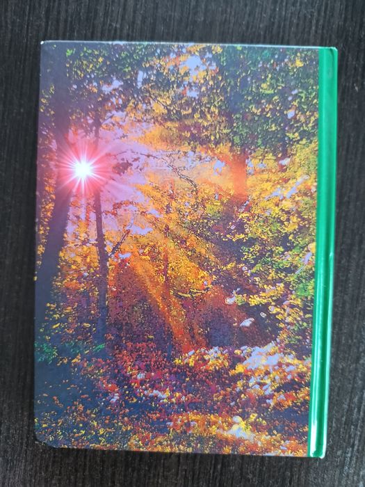 Survival Królikowski Jędrzejko