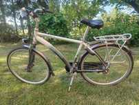 Rower miejski holenderski Montego