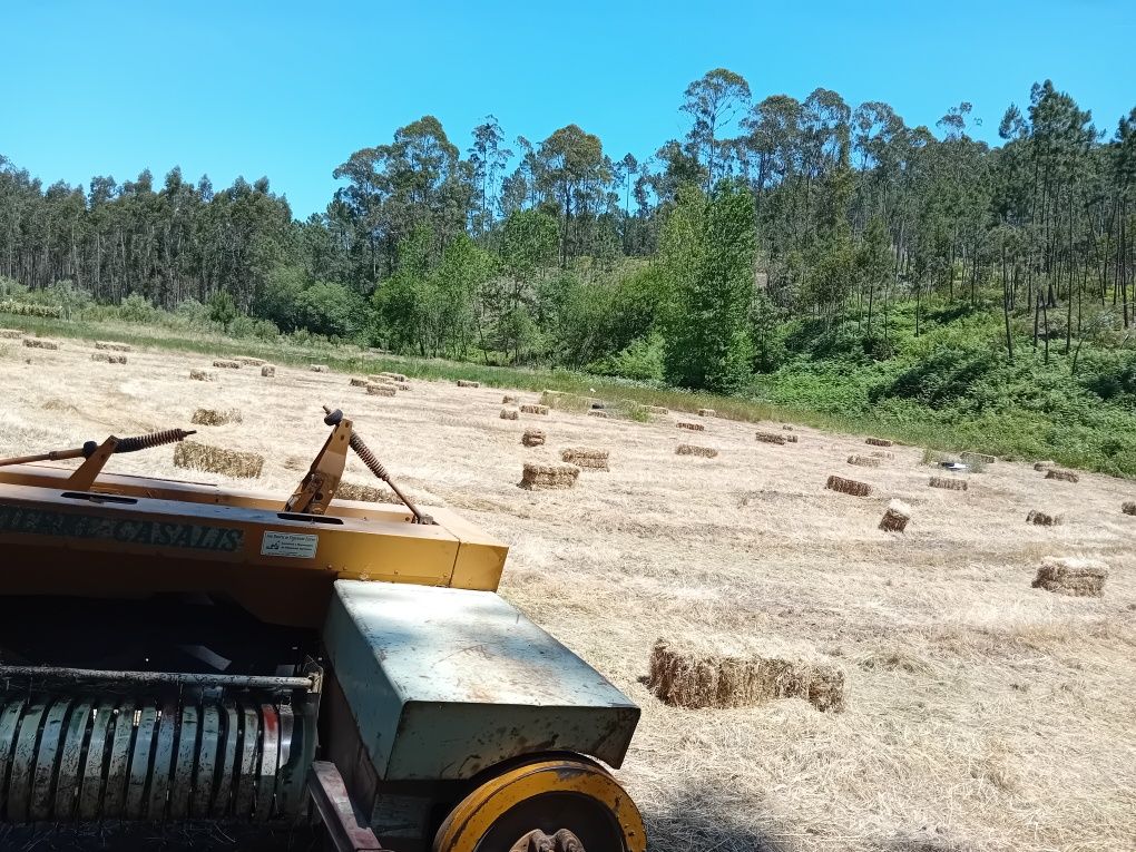 Fardos azevem pequenos