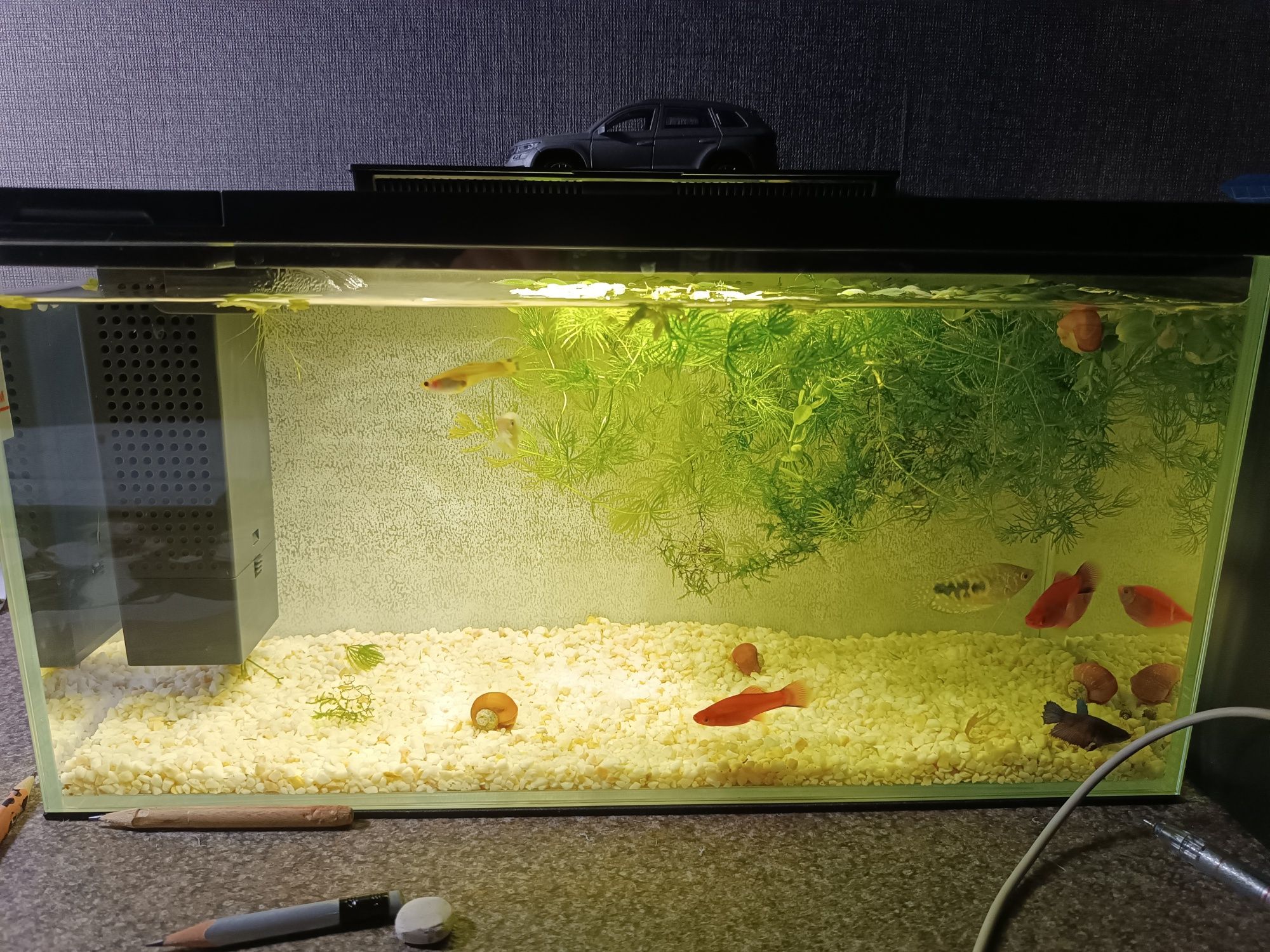 Умный аквариум Xiaomi Petkit 10л