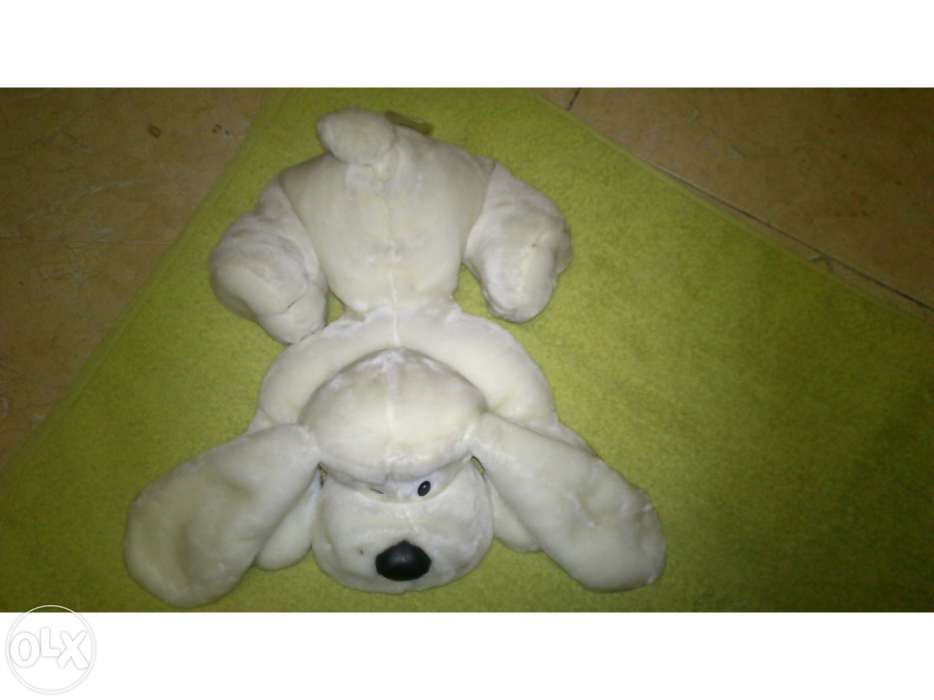 Cão peluche NOVO