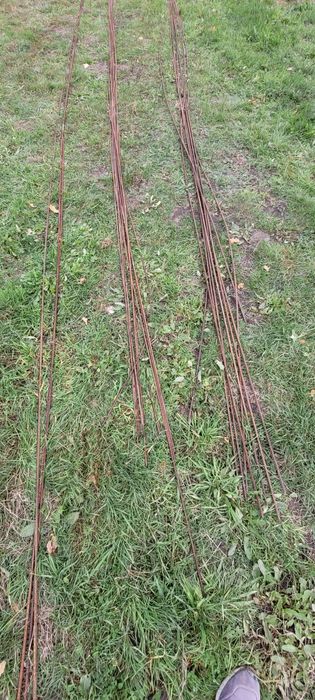 Pręty stal zbrojeniowa Fi12, Fi8, Fi6