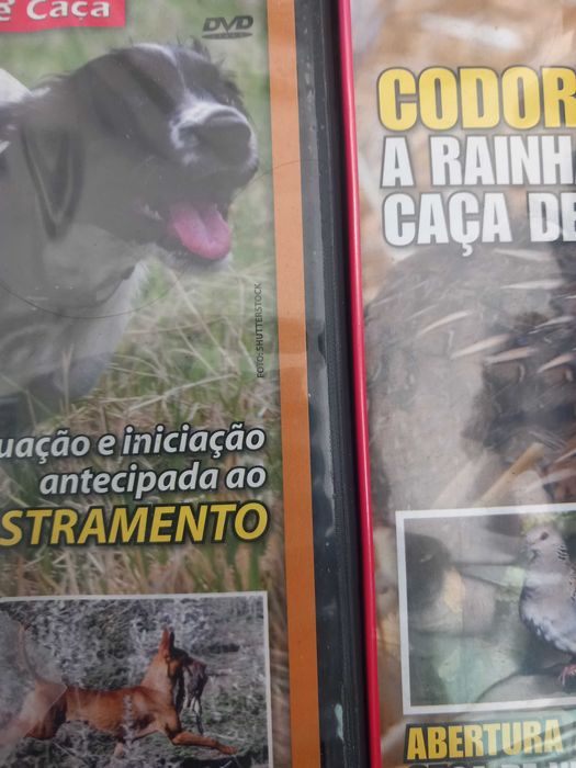 DVD´s Caça e pesca