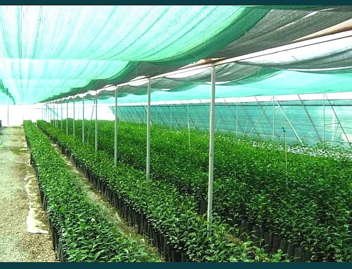 Сетка Затеняющая Сітка Затіняюча 2 60% 70% 85% 95% 110 Парник Теплица