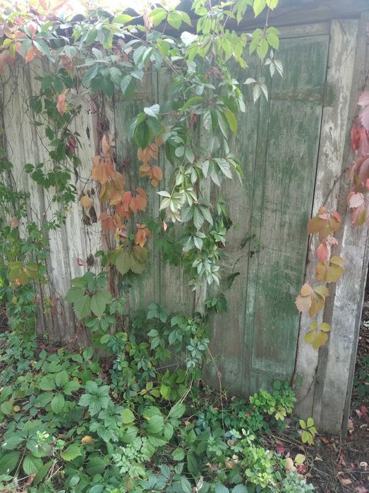 Будинок не далеко від міста Хорол