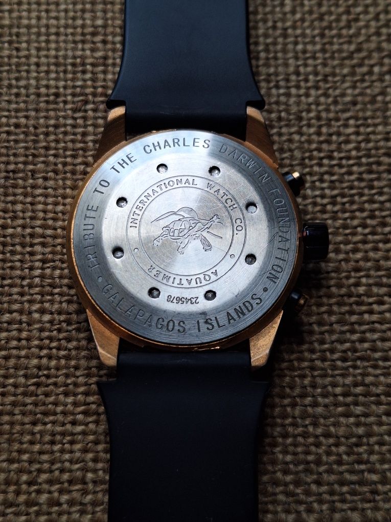 Наручные Часы IWC Schaffhausen