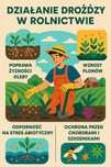 Drożdże Nawozowe, aminokwasy minerały witaminy, nawozy BIO