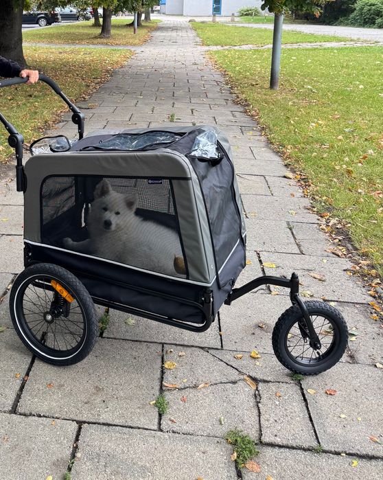 Przyczepka dla psa 3w1 240 l rowerowa do biegania Kesser