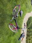 Rower damski 24’