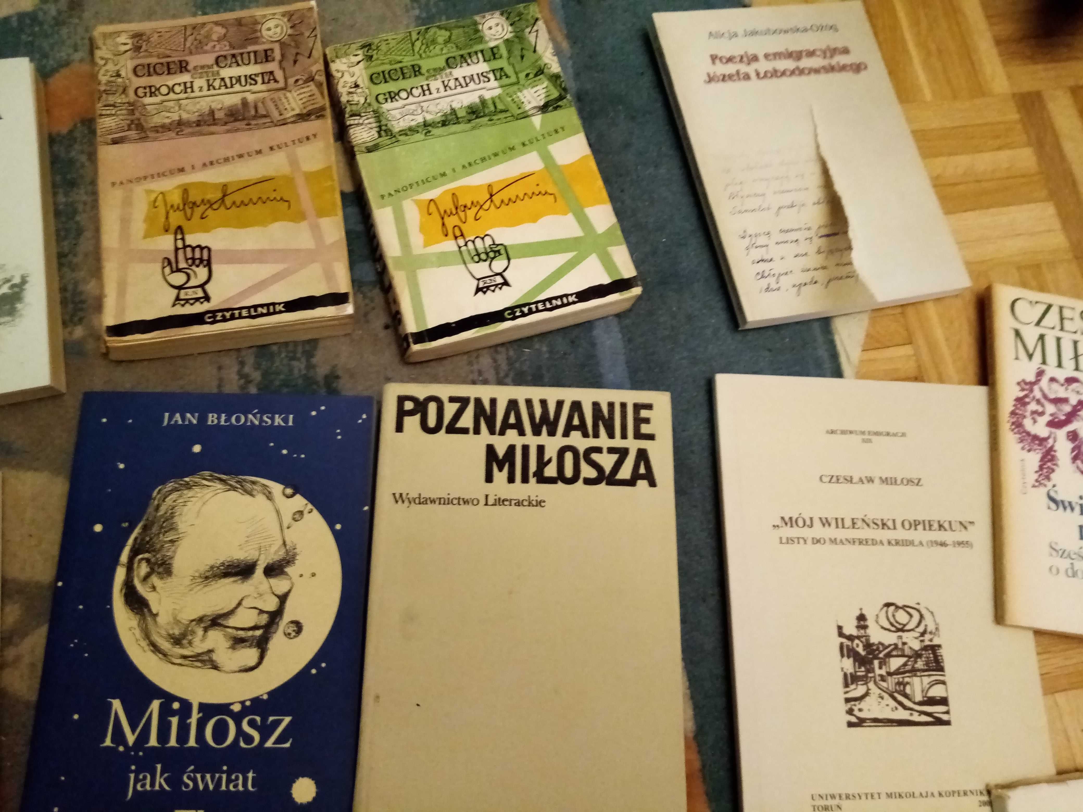 27 książek bibl. intelektualisty MIchnik Miłosz kłoczowski Łobodowski