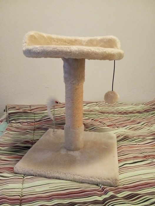 Arranhador de gato