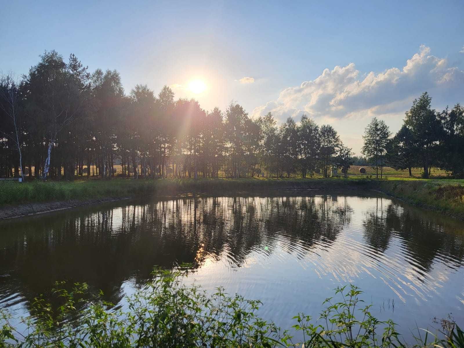 Osada Natura - Agroturystyka, 20 osób, Noclegi Wygranka,Kłoczew, Ryki,