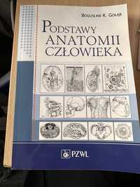 Ksiazka Podstawy Anatomii Czlowieka