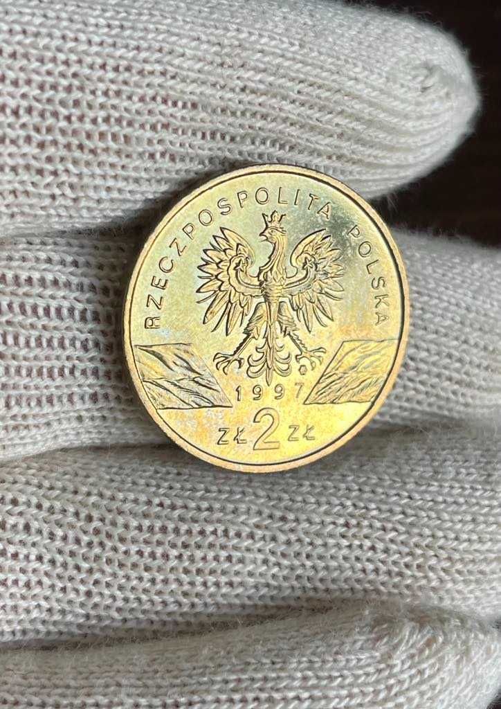 2 Złote Jelonek Rogacz NG 1997 Moneta