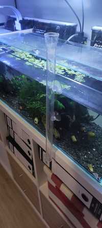 Alimentador de vidro para aquário