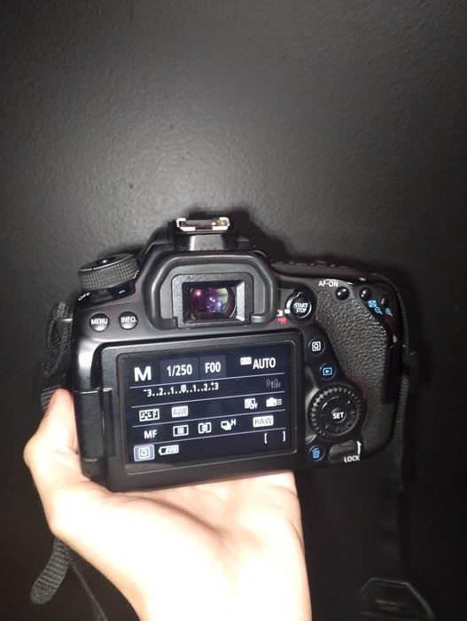 Canon EOS 80D body
