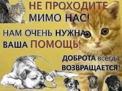 Терміново потрібна допомога