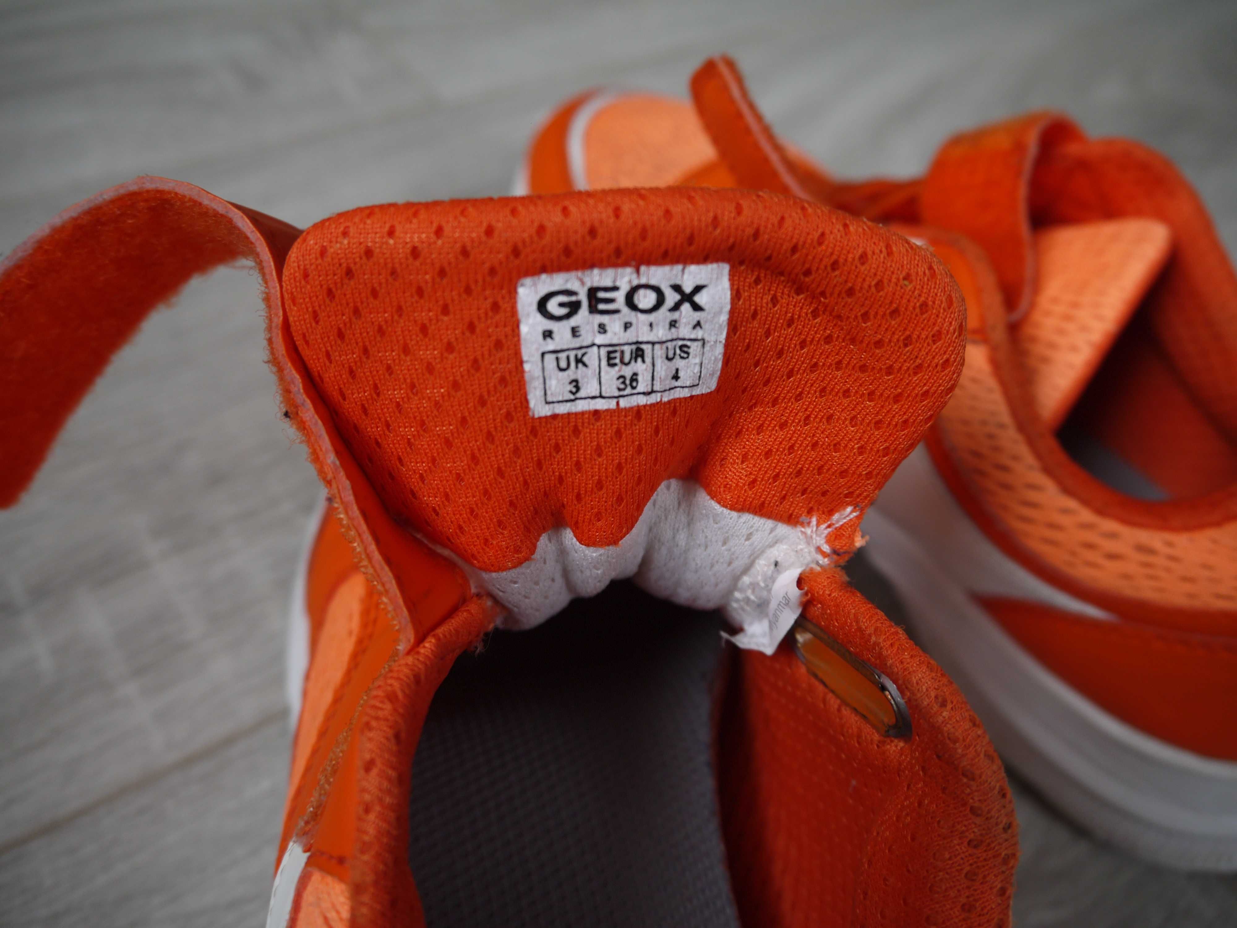 кросівки  Geox (35 р)
