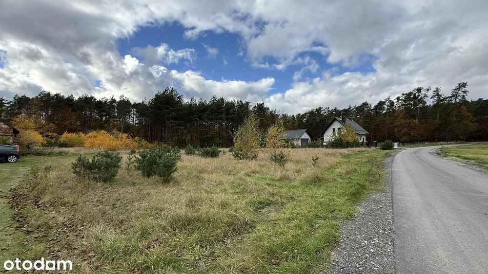 Działka na sprzedaż - Schodnia k. Ozimka