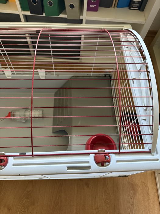 Gaiola Zolia completa para coelhos/porcos da índia