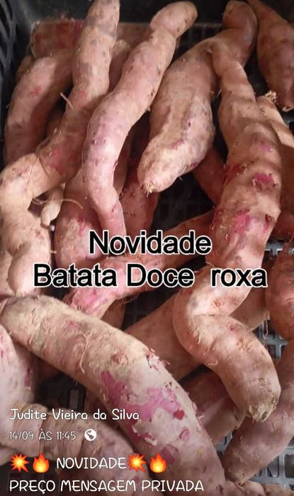 Batata doce roxa