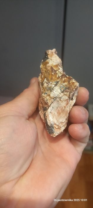 Minerały skamieniałości baryt, goethyt