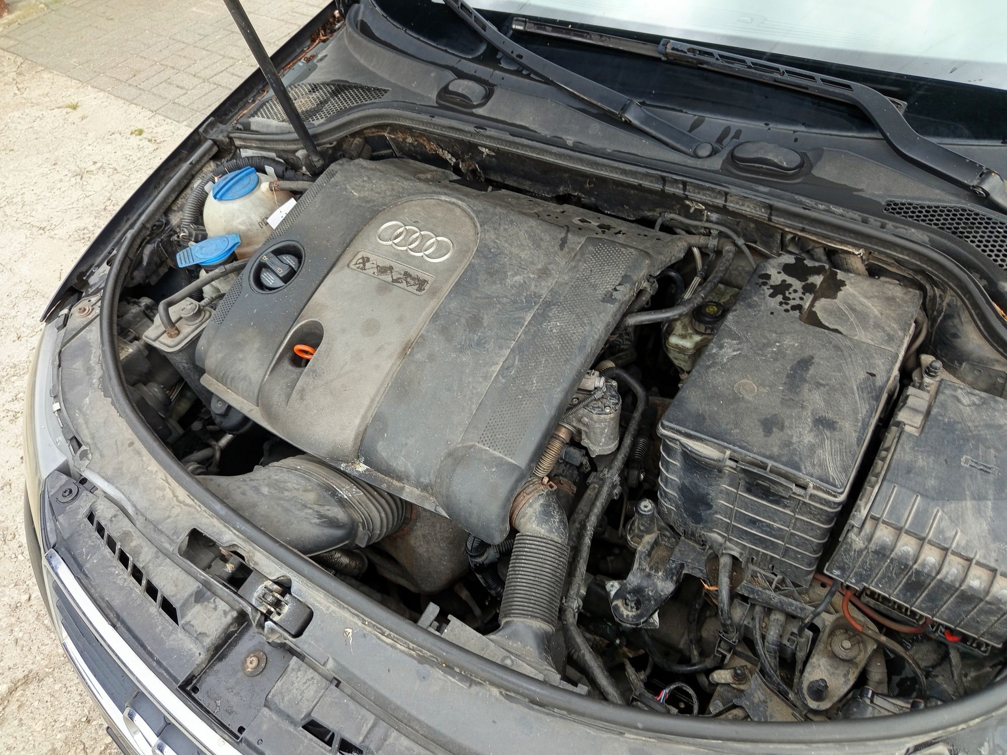Audi a3 8p 1.6 2005
