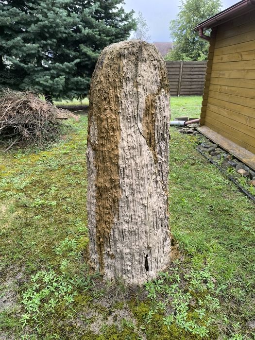 Stalagmity skały kamienie ozdoba ogrodu stalagmit Opole