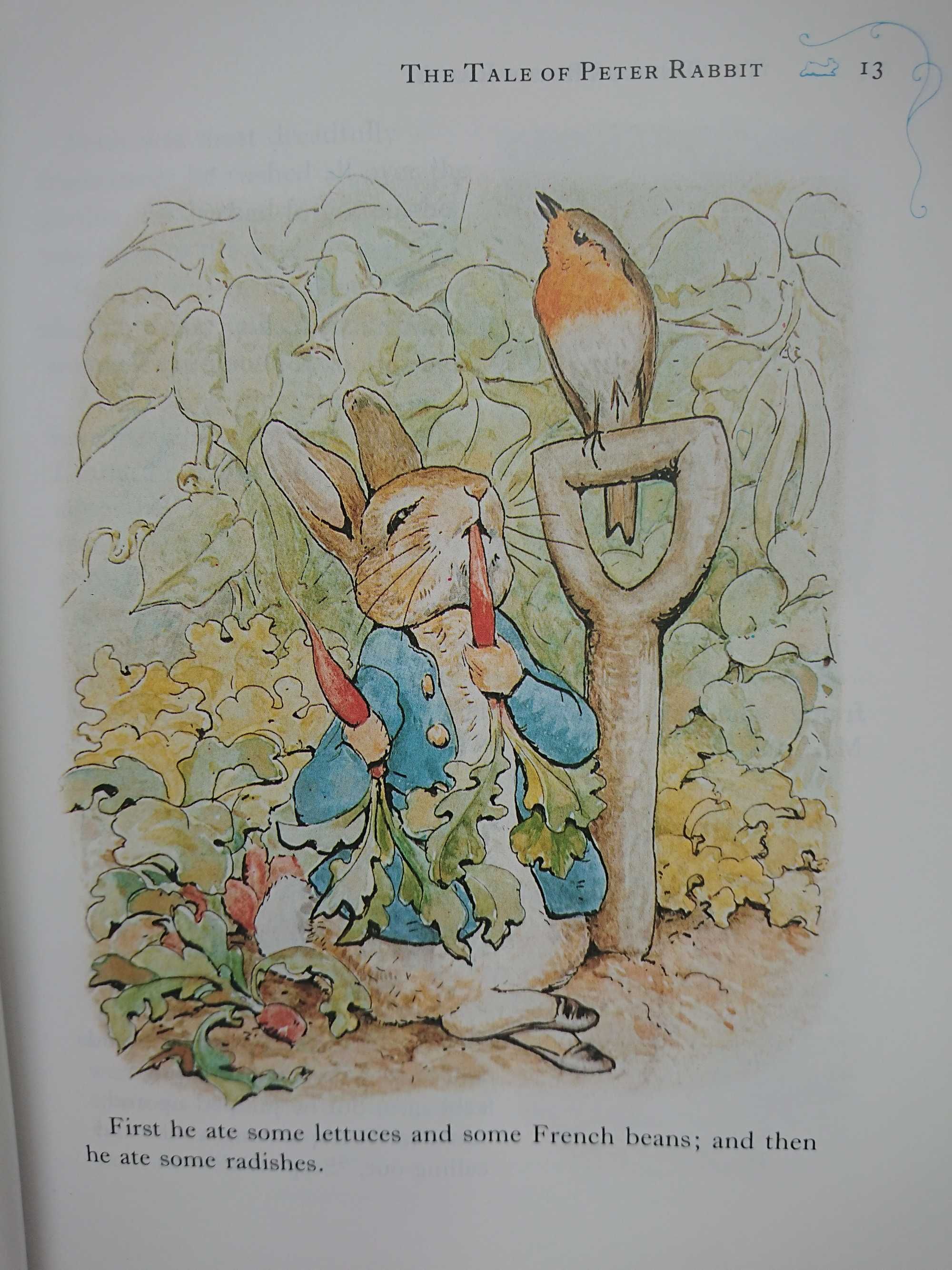 Peter Rabbit Beatrix Potter