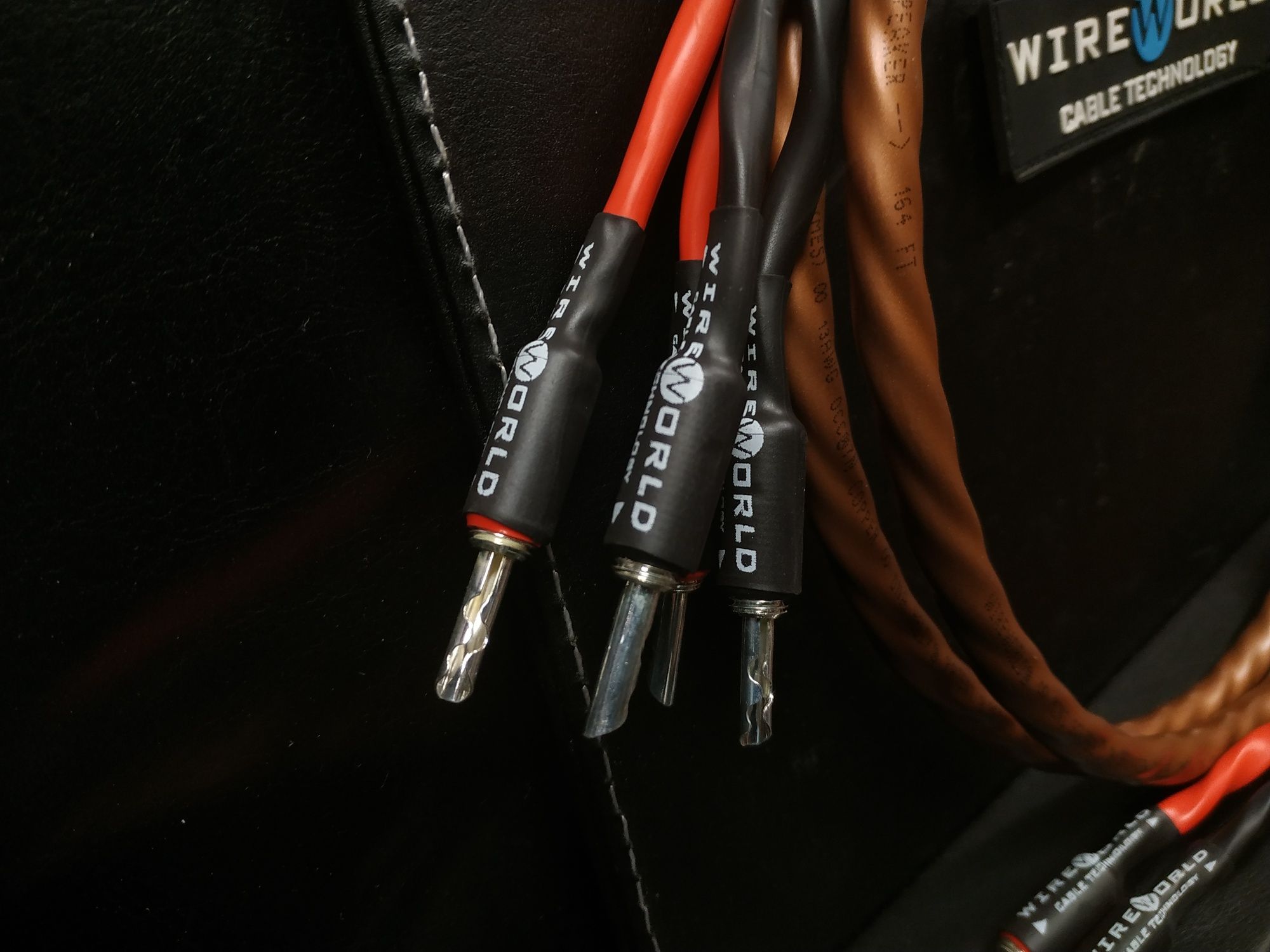 WireWorld Mini Eclipse 10 Kable głośnikowe konfekcja Trans Audio Hi-Fi