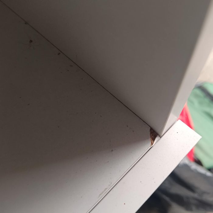 Łóżko piętrowe z biurkiem
