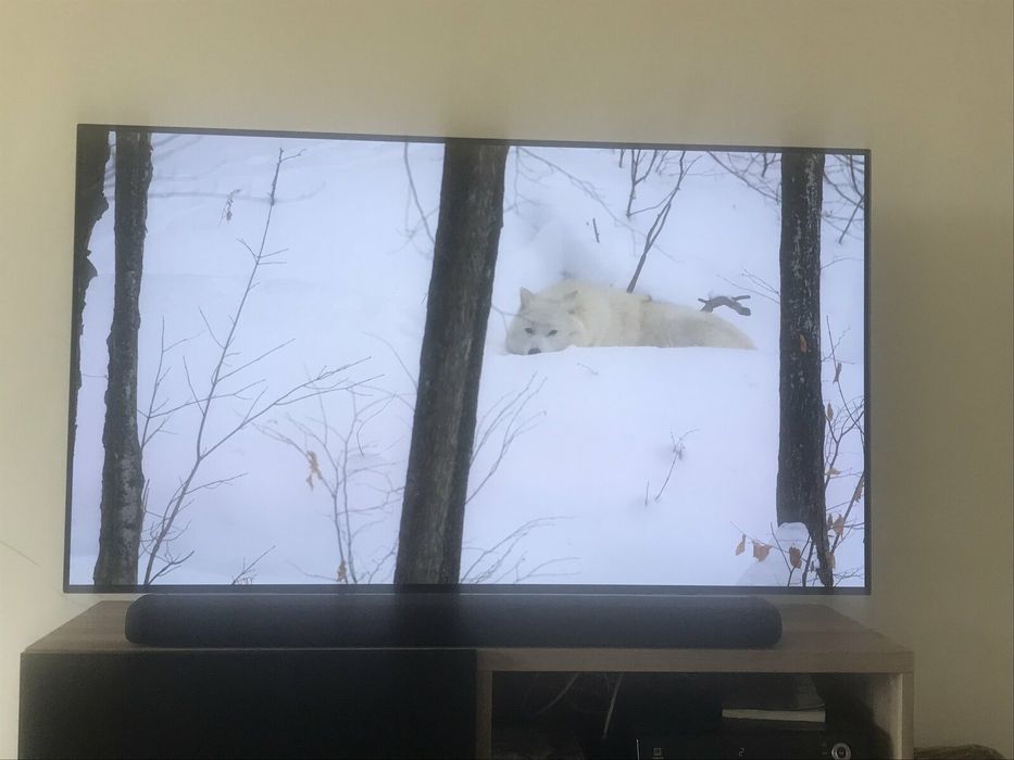 LG OLED B9SLA 65' polegadas