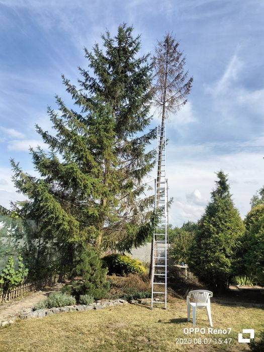 Стремянка (лестница) 8м.-12м. аренда