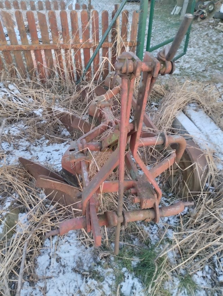 Puk szyszkibowy za darmo