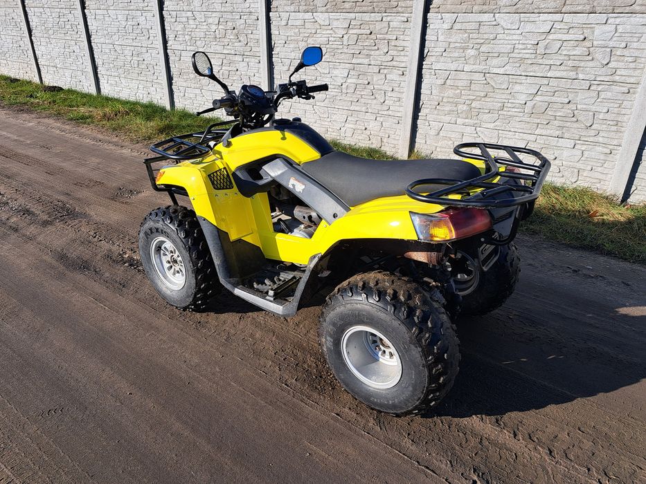 Quad SYM 300 ccm 2009r Niski przebieg! Homologacja!